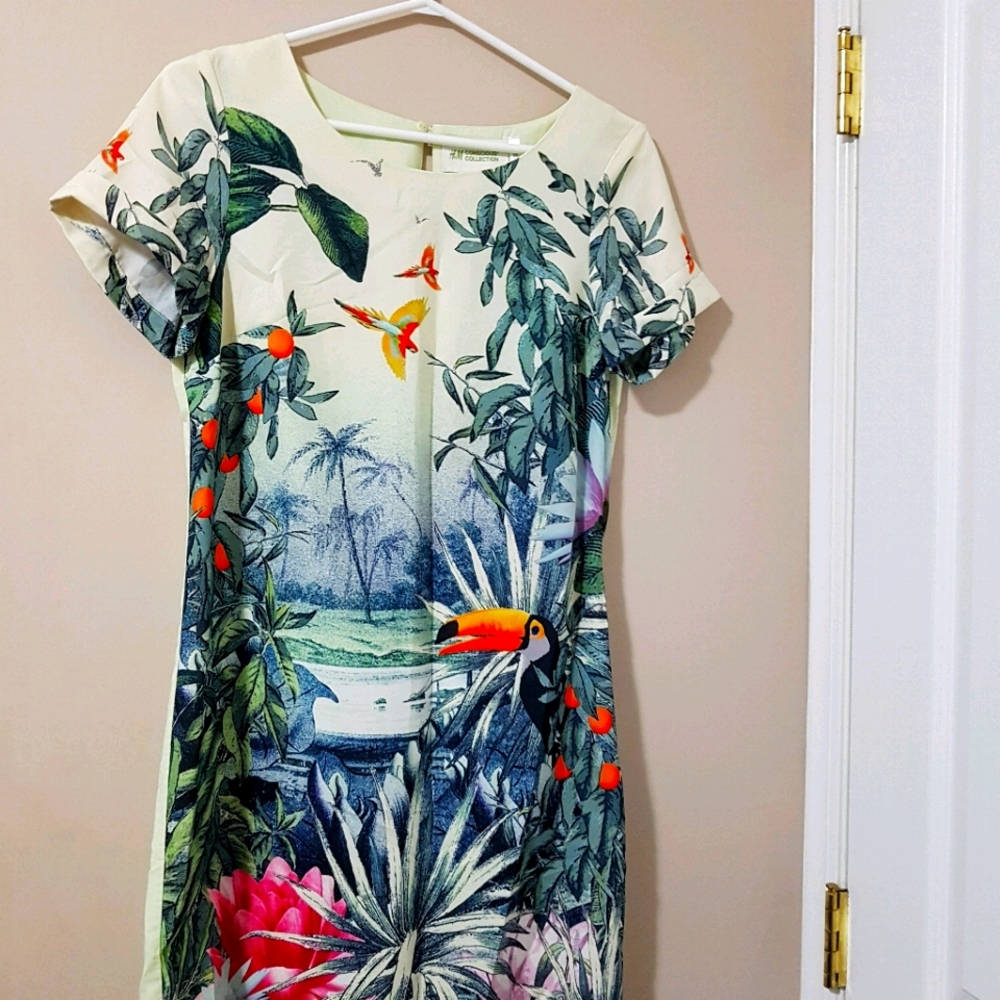 Dress/Long Shirt